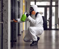 Mold Remediation for Vacation Homes in China, TX